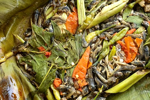 Mok huak grilled tadpoles