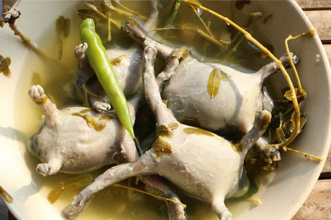 Tom ueng spicy bullfrog soup