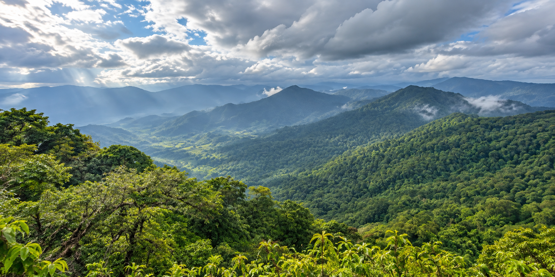 Forested mountain ridges stretching into mist and cloud at Kaeng Krung National Park, Surat Thani