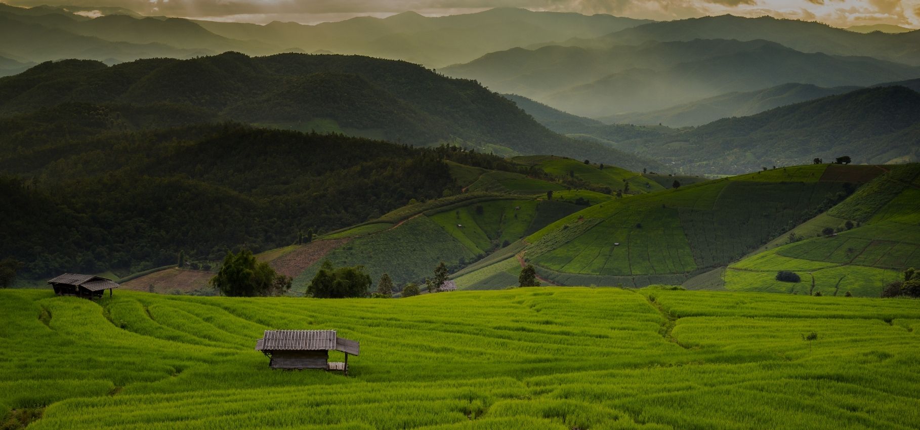 Ban Mae Klang Luang rice terraces in the highland landscape of Doi Inthanon National Park