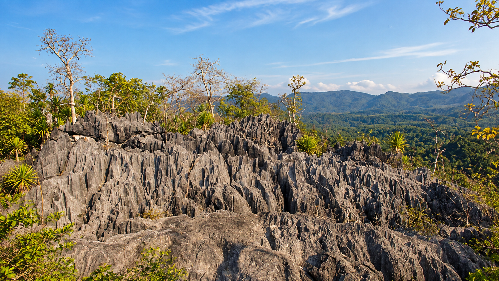 Coral-like rock formations overlooking forest at Doi Pha Klong National Park, Phrae
