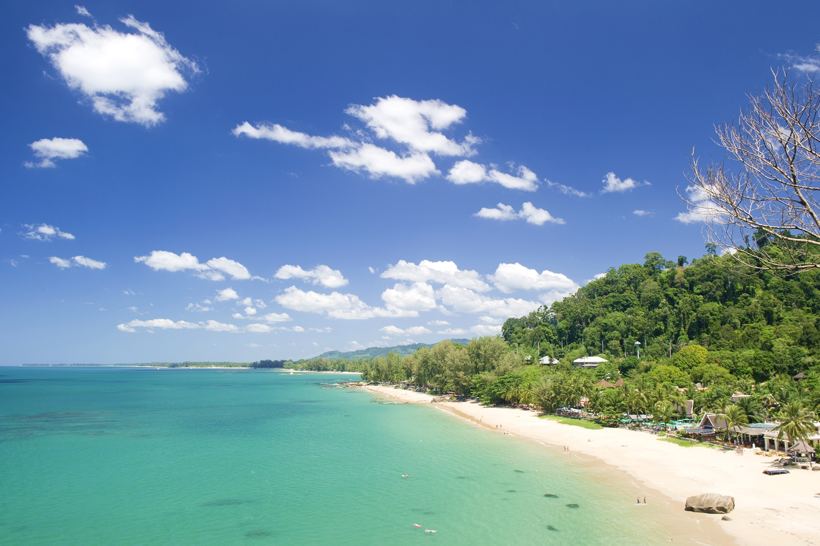 Khao Lak Beach and turquoise Andaman Sea below a forested headland at Khao Lak–Lam Ru National Park, Phang Nga