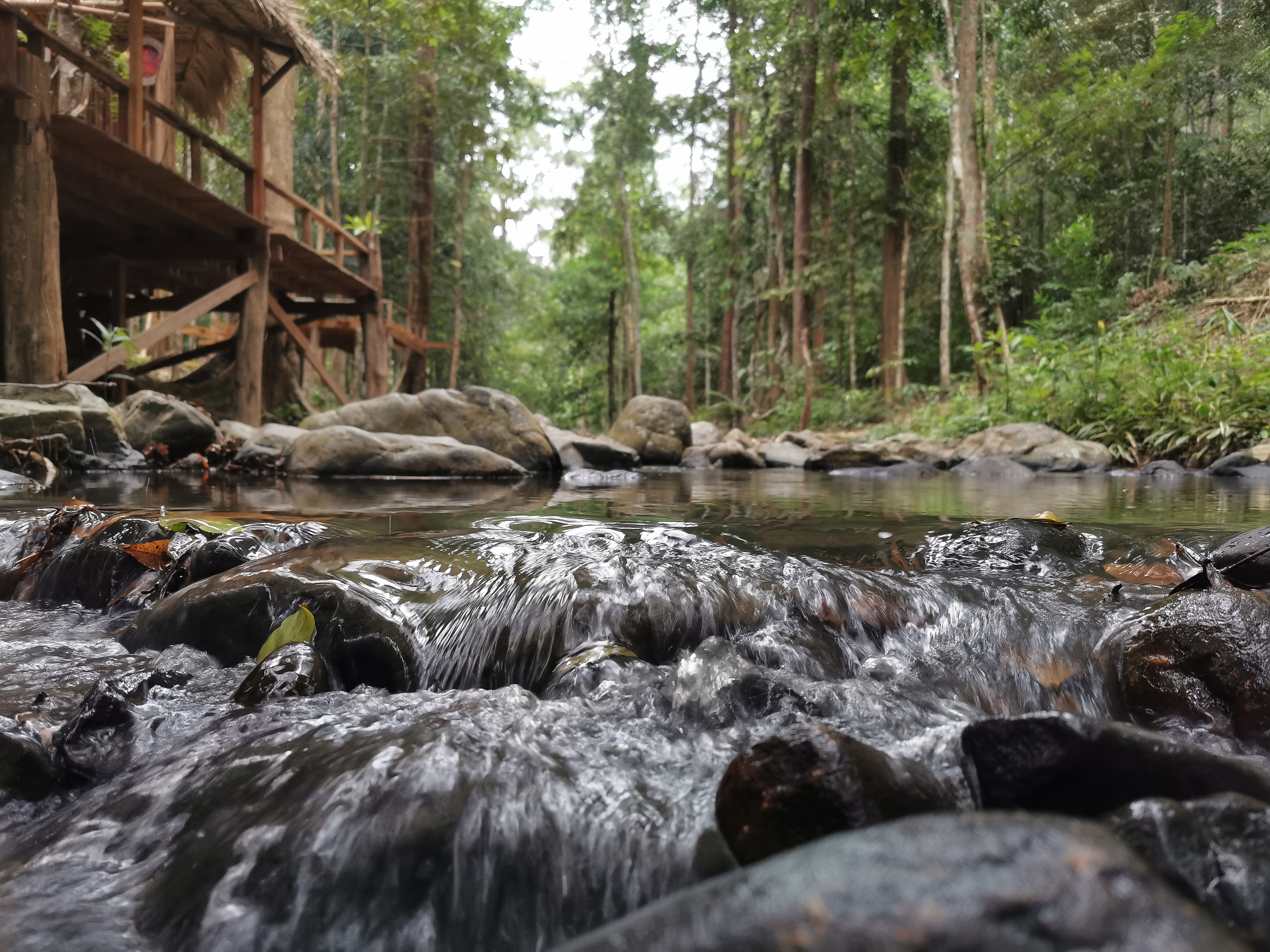 Forest stream in Khao Nam Khang National Park, Songkhla