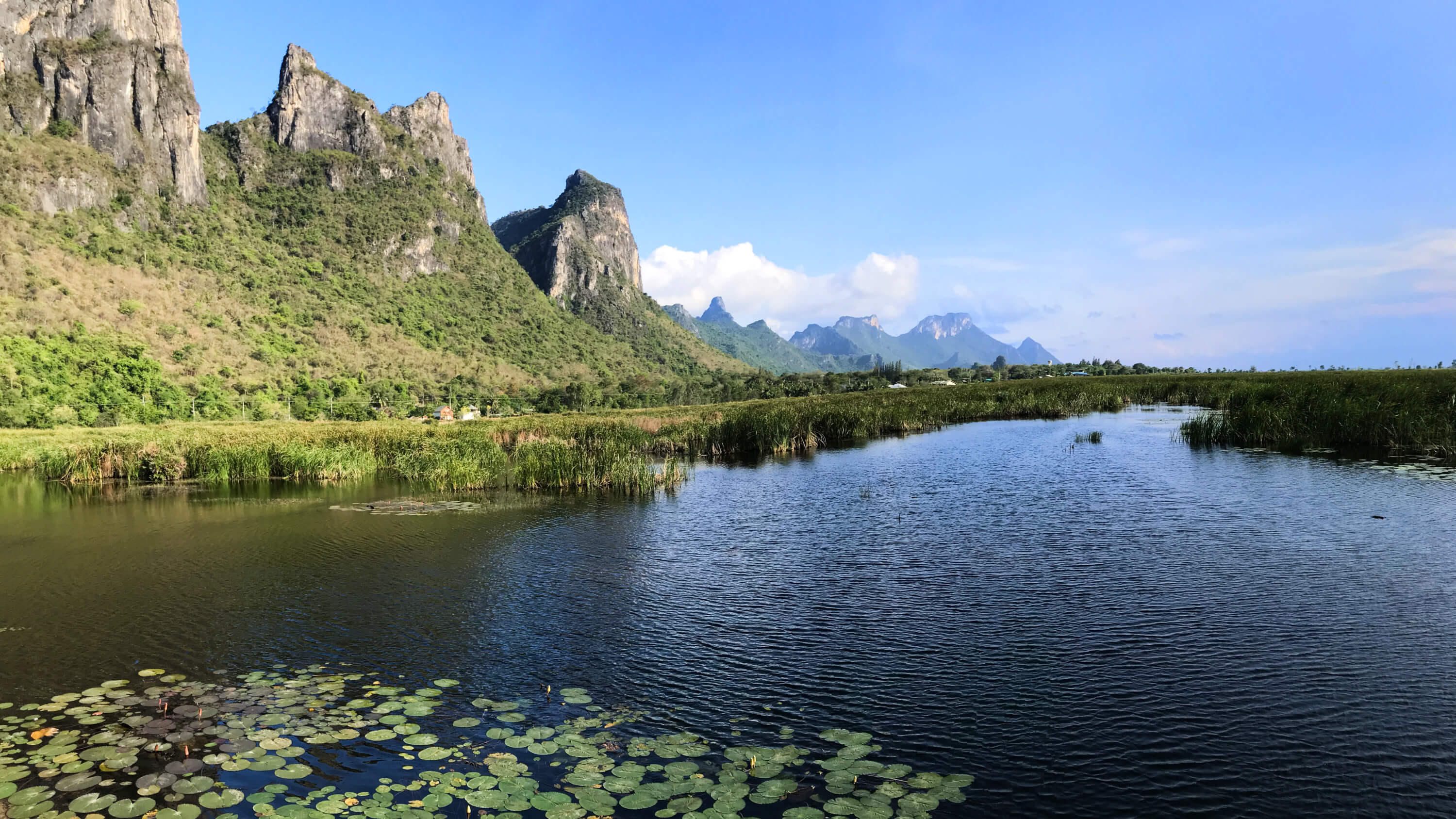 Freshwater wetland at Thung Sam Roi Yot with lotus leaves, reeds and limestone mountains, Prachuap Khiri Khan