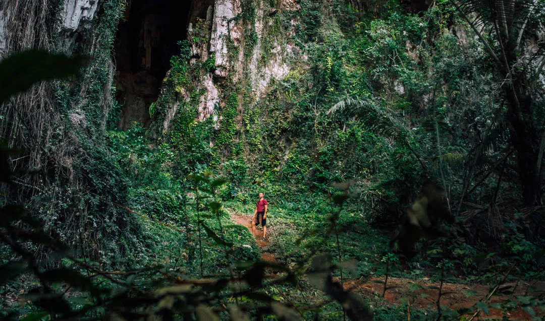 Hiker on a rainforest trail beneath a vine-covered limestone cave at Khlong Phanom National Park, Surat Thani
