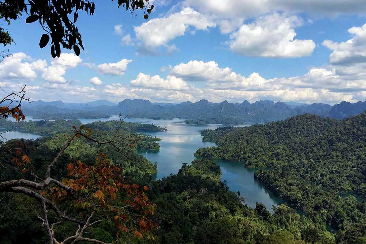Limestone karst, rainforest and a winding reservoir seen from a high viewpoint in the Khlong Phanom–Khao Sok landscape, Surat Thani