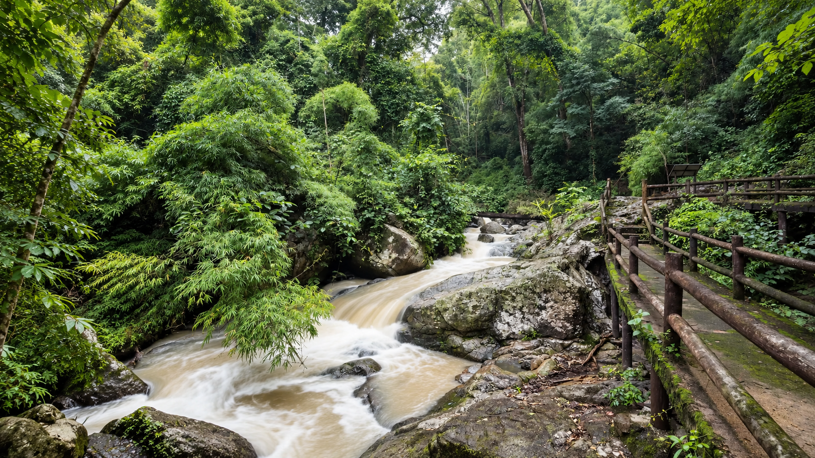 A forest stream beside a wooden boardwalk at Mae Wa National Park