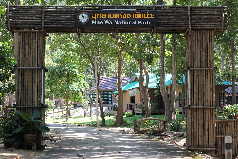 The bamboo entrance arch of Mae Wa National Park, with park buildings beyond
