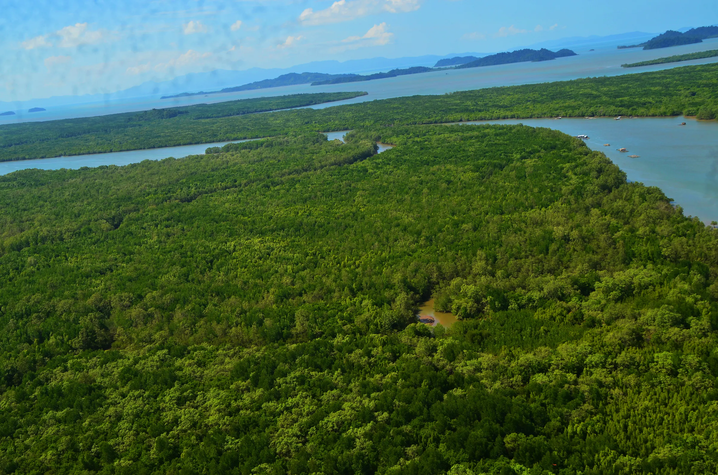 Aerial view of mangrove forest, tidal channels and islands along Ranong’s Andaman coast