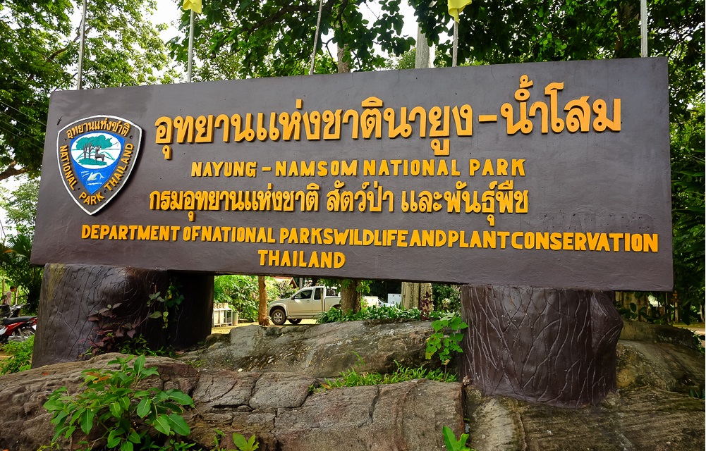 Waterfall and stream scene in the Na Yung–Nam Som mountain forest