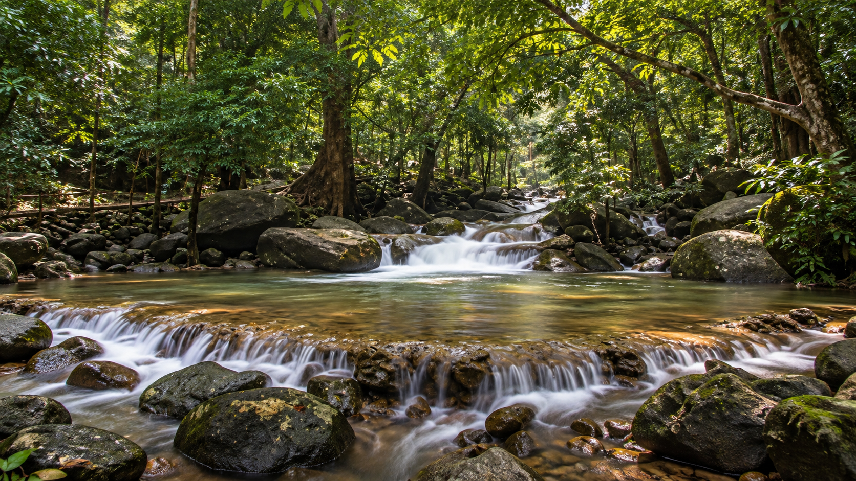 Forest stream cascading over mossy boulders through humid evergreen forest at Namtok Sai Khao National Park
