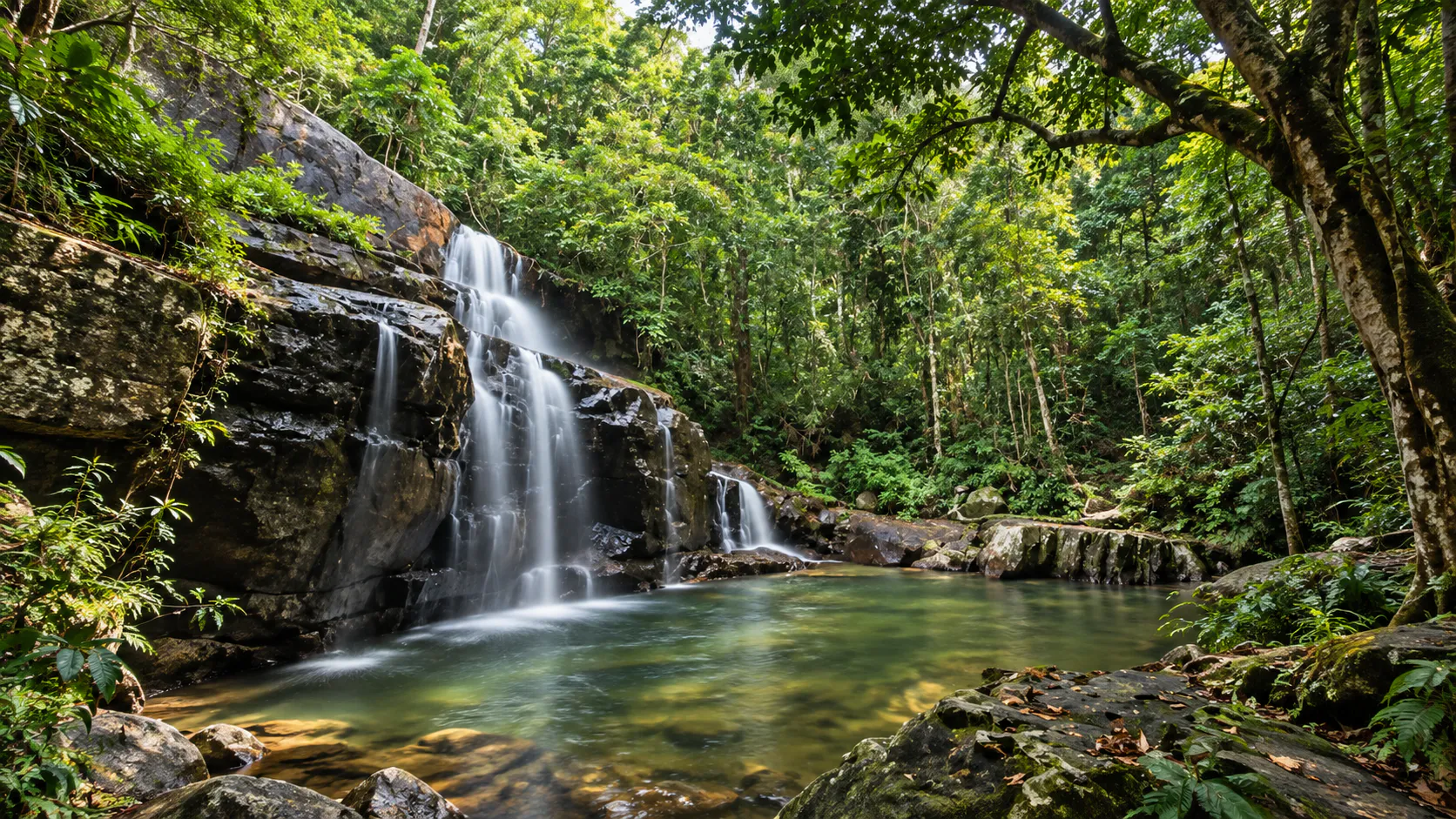 Butterfly watching in Pang Sida National Park