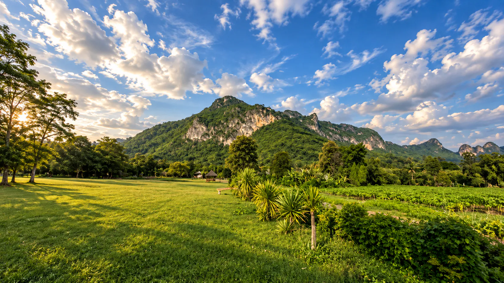 Forest-covered limestone mountains beneath a bright blue sky at Phu Pha Man
