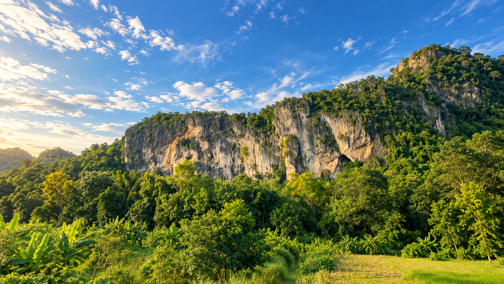 Long limestone wall and dense tropical forest at Phu Pha Man National Park