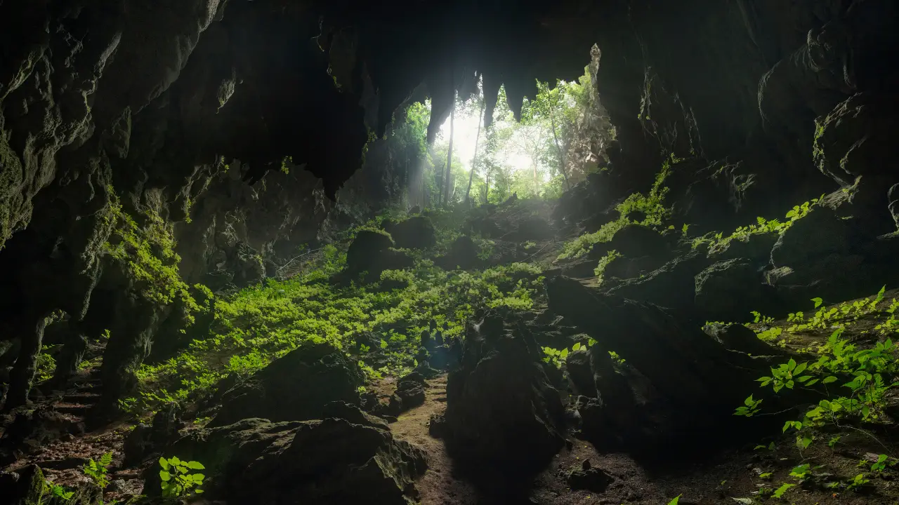 Looking out from a dark cave mouth toward sunlit green forest at Tham Luang–Khun Nam Nang Non, Mae Sai, Chiang Rai