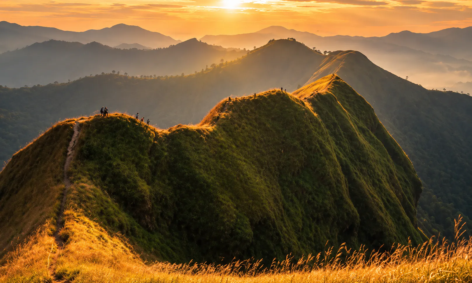 Sunset hikers along the golden grassland ridge of Khao Chang Phueak, with mist in the valleys of Thong Pha Phum