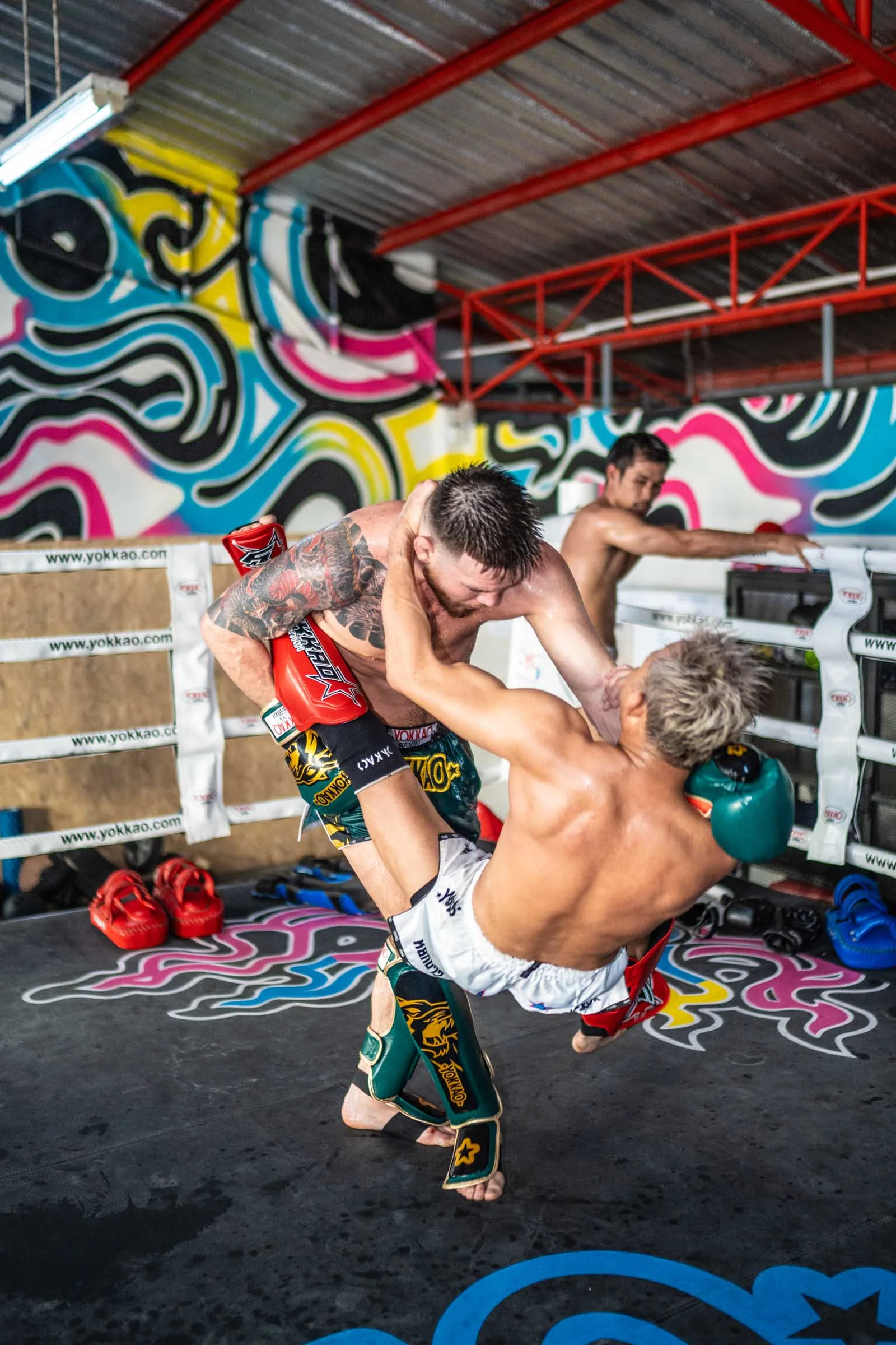 Clinch work in the ring at Yokkao Training Center Bangkok
