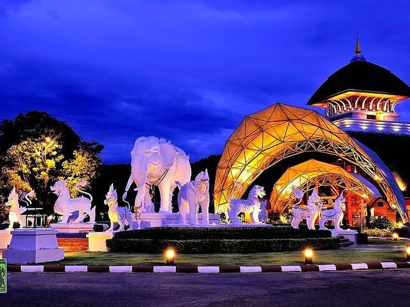 Night Markets & Night Safari
