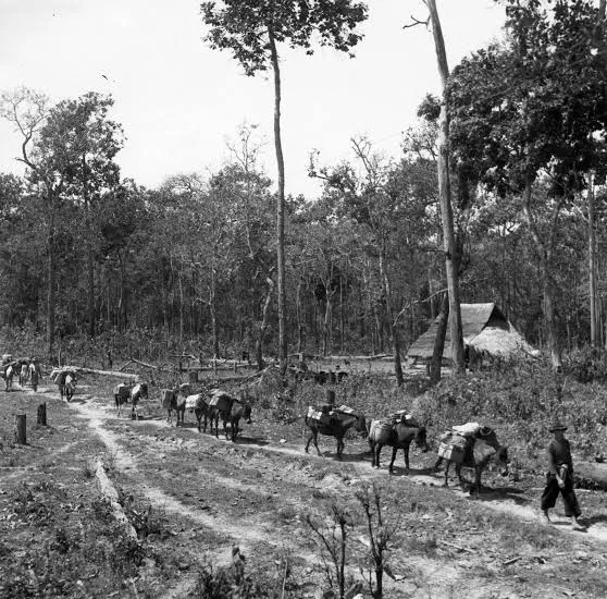 Loei heritage