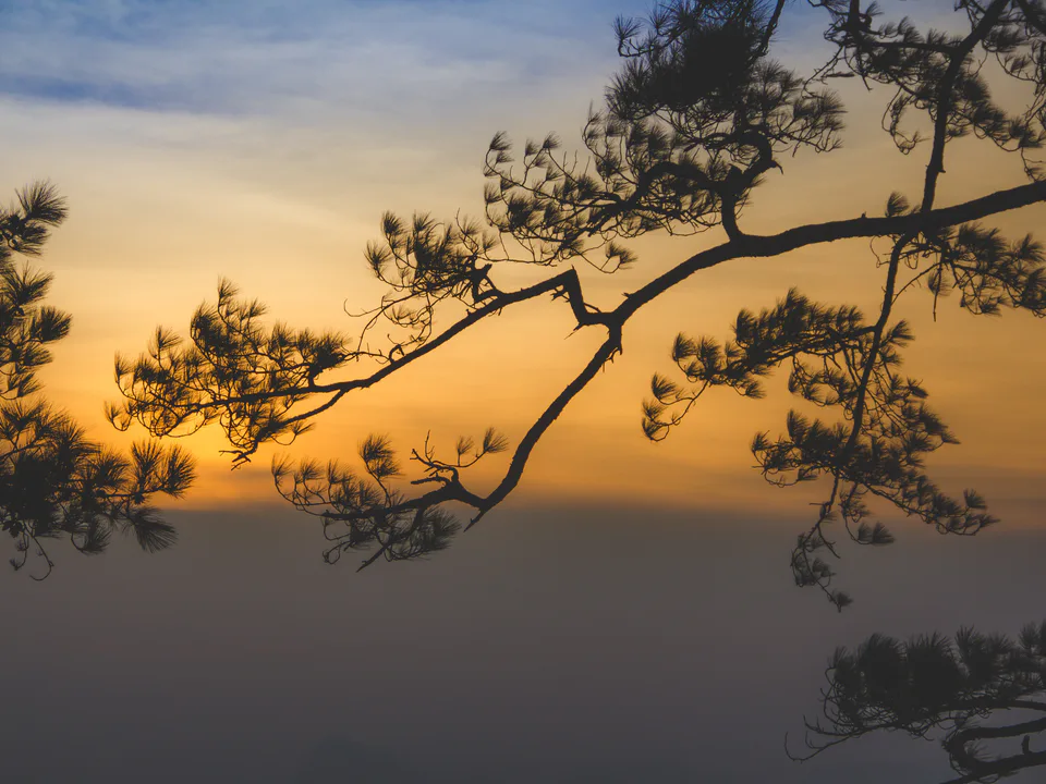 Phu Kradueng National Park