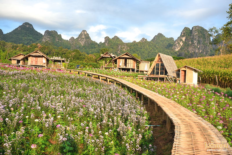 Phu Pa Muak