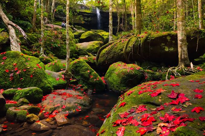 Tham Yai Waterfall