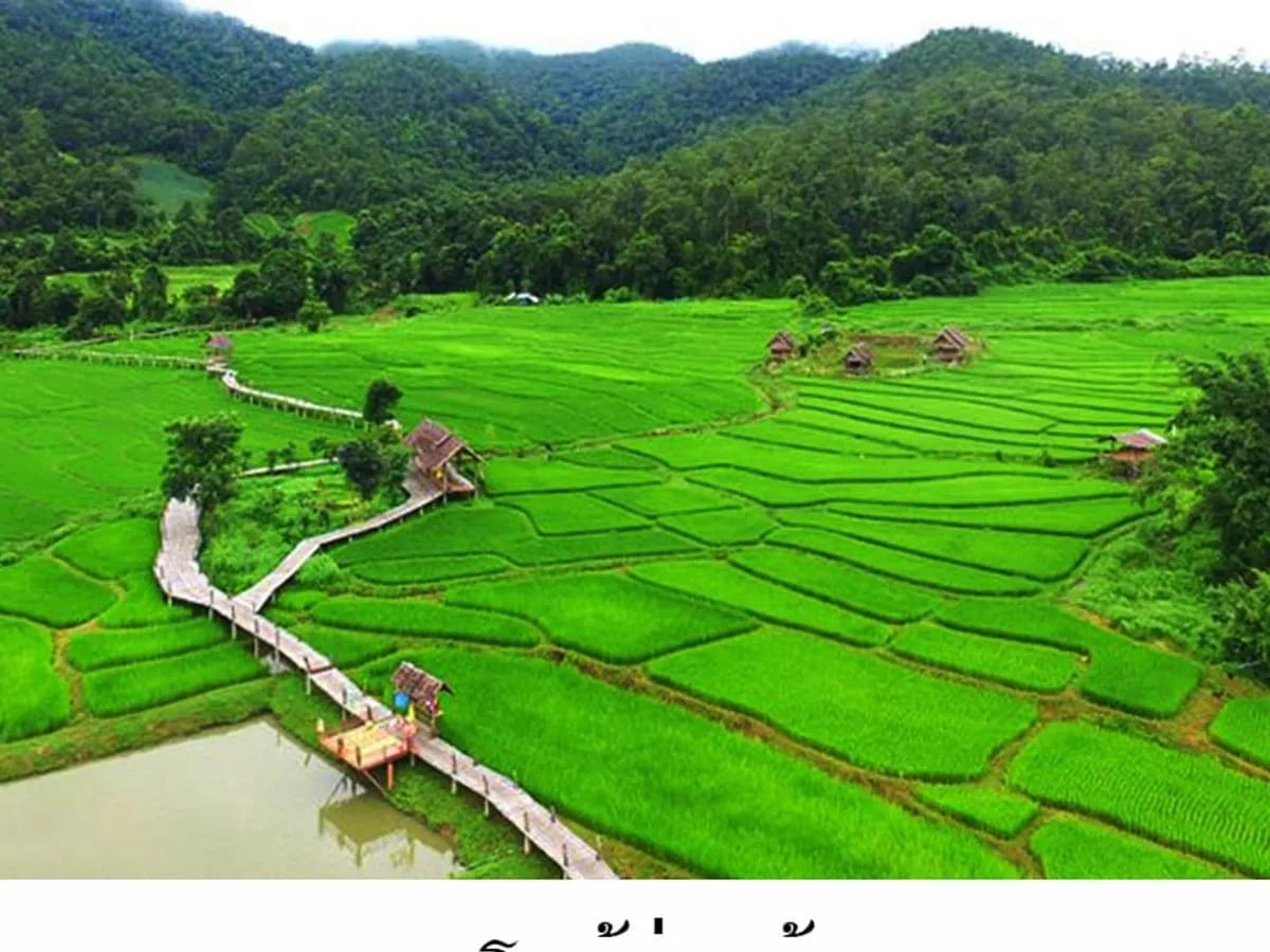 Boon Kho Ku Sui Bridge