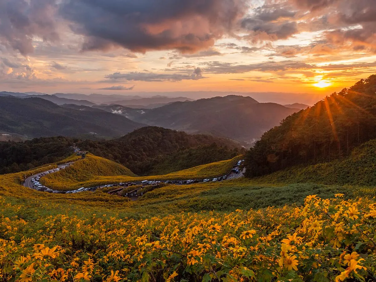Bua Tong Fields, Doi Mae U Kho