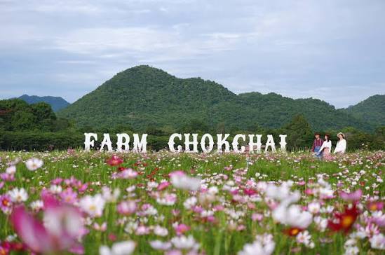 Farm Chokchai