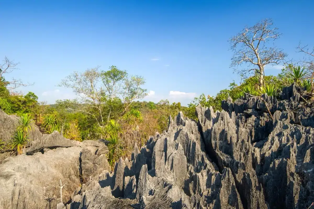 Doi Pha Klong National Park