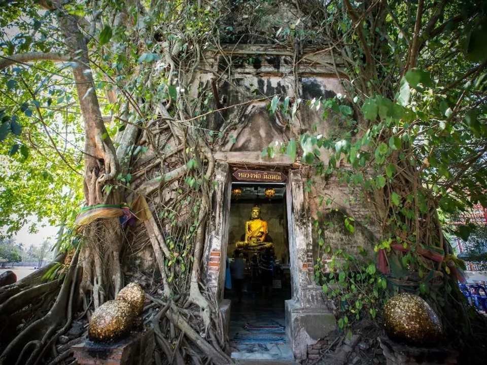 Bang Kung Camp