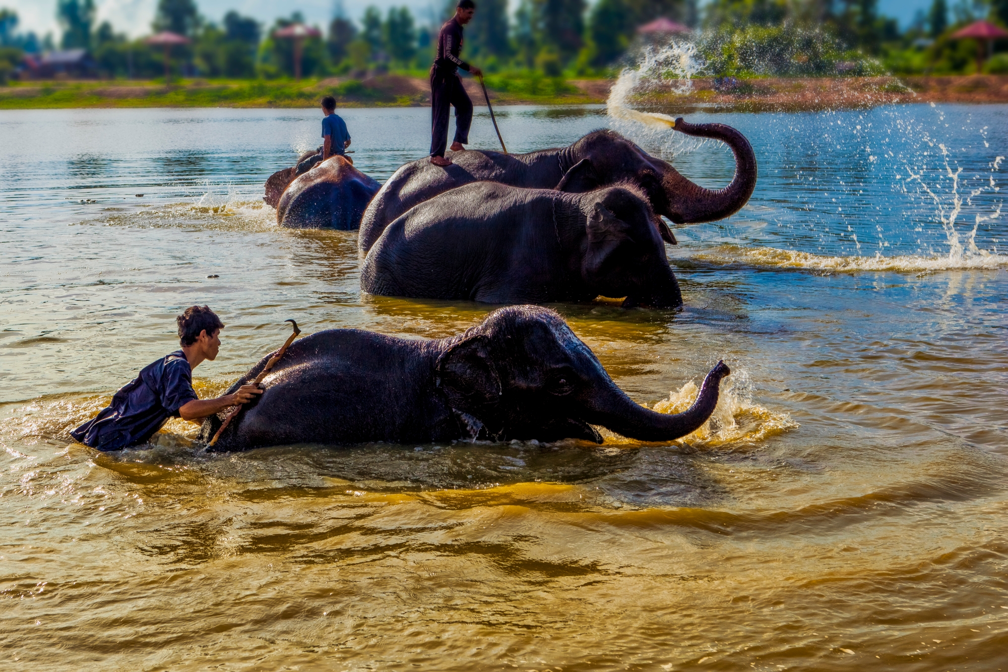 Ban Ta Klang Elephant Village