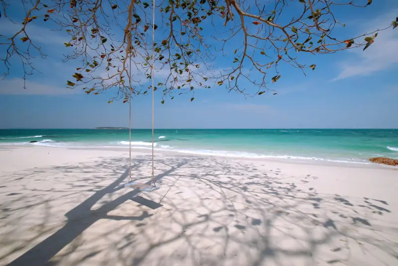 A rope swing under a tree on a white-sand beach facing clear turquoise water
