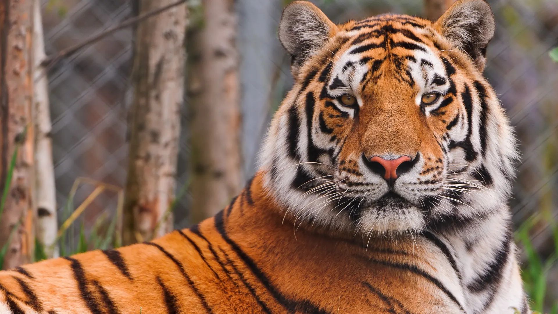 Zoos and wildlife parks in Thailand