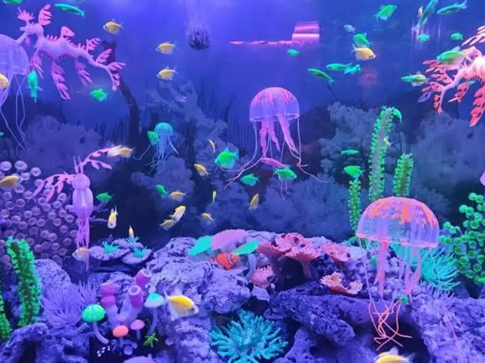 Monster Aquarium Pattaya (มอนสเตอร์ อควาเรียม พัทยา)