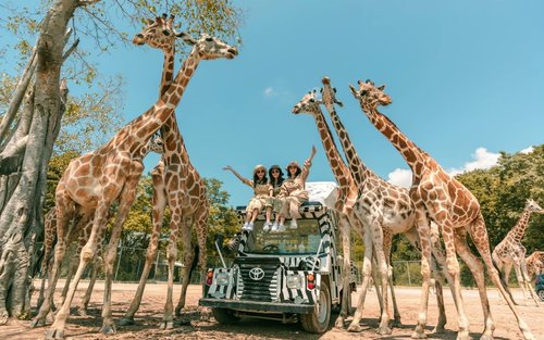 Safari Park Kanchanaburi (ซาฟารีปาร์ค กาญจนบุรี)