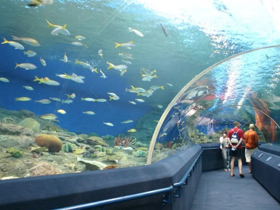 Underwater World Pattaya (อันเดอร์วอเตอร์ เวิลด์ พัทยา)