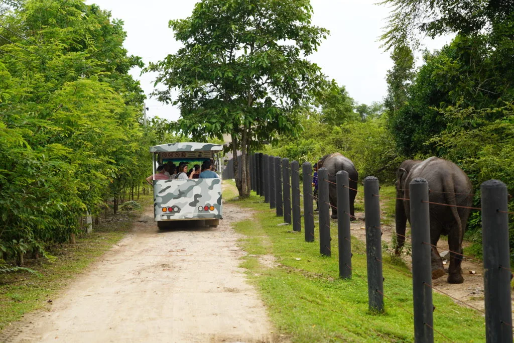 Wildlife Rescue Center No. 1 (สถานีช่วยเหลือสัตว์ป่าที่ 1 นครนายก)